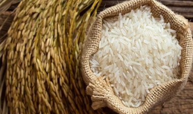 Rice Prices Surge Up to 20%; Export Deals in Jeopardy as Rising Costs Push Exporters into Default