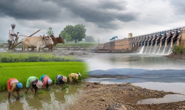 Mid-Monsoon: Rainfall Deficit at 13%, Kharif Sowing Gap Narrows to 3%, Low Reservoir Storage Remains a Concern