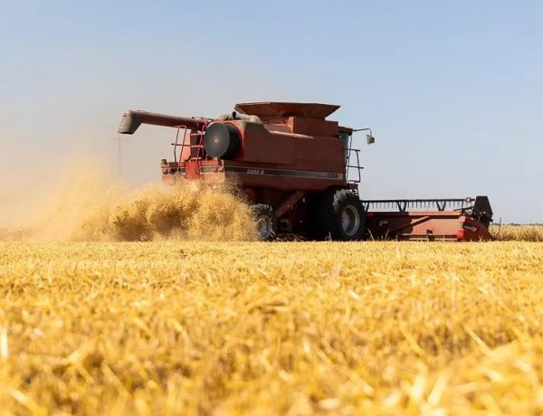 USDA Reports Record-Low US Wheat Acreage, Sparks Rally in Wheat Futures
