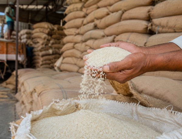 Government to Sell FCI Rice for Ethanol at Rs 2,320/qtl, Below Paddy MSP; OMSS Policy 2026-27 Announced