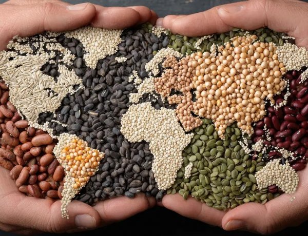 India Makes Progress on Hunger, but Healthy Diets Remain Out of Reach as Global Food Security Faces Fresh Risks