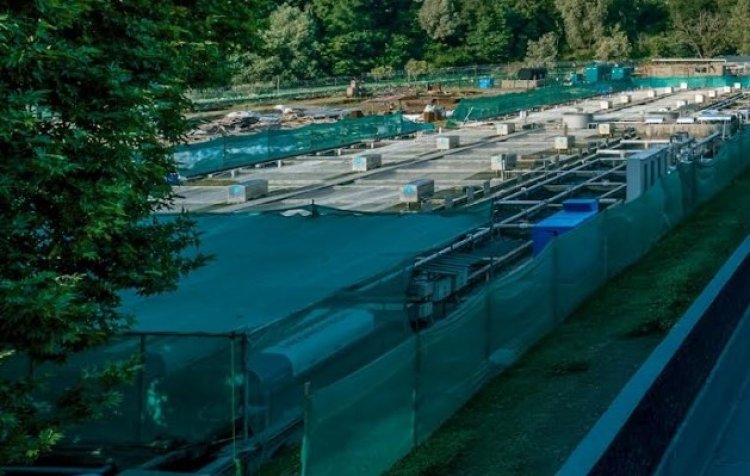 Khyber Group launches India's largest RAS-based Himalayan trout farming facility in Kashmir