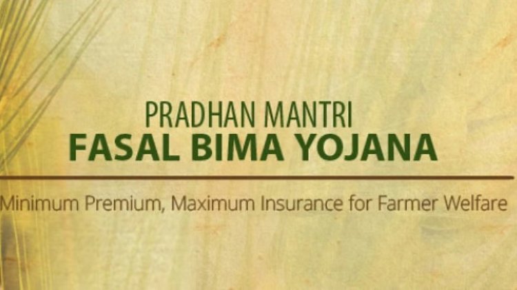 Insurance Companies Earning Over Rs 10,000 Crore From Crop Insurance Every Year