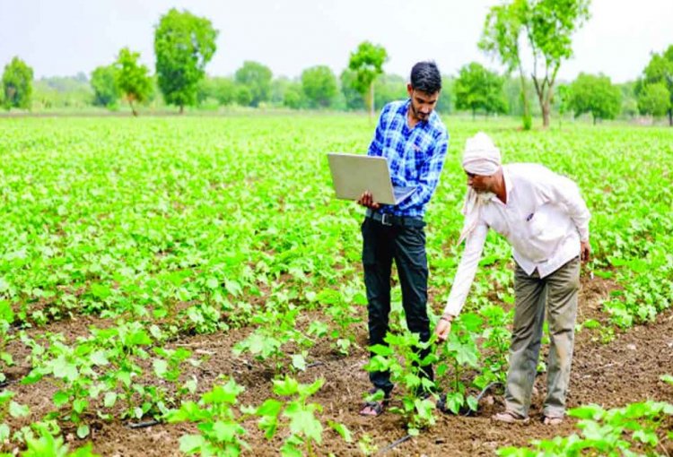 Beyond the Rains: Why India's Next Farm Revolution Must Be Climate-Proof