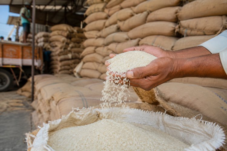 Government to Sell FCI Rice for Ethanol at Rs 2,320/qtl, Below Paddy MSP; OMSS Policy 2026-27 Announced