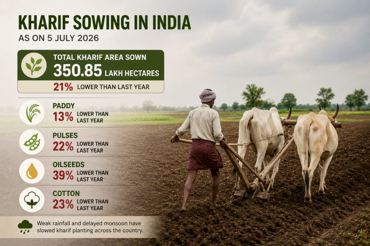 India’s Kharif Sowing Area Down 21% as Delayed Monsoon Hits Farming