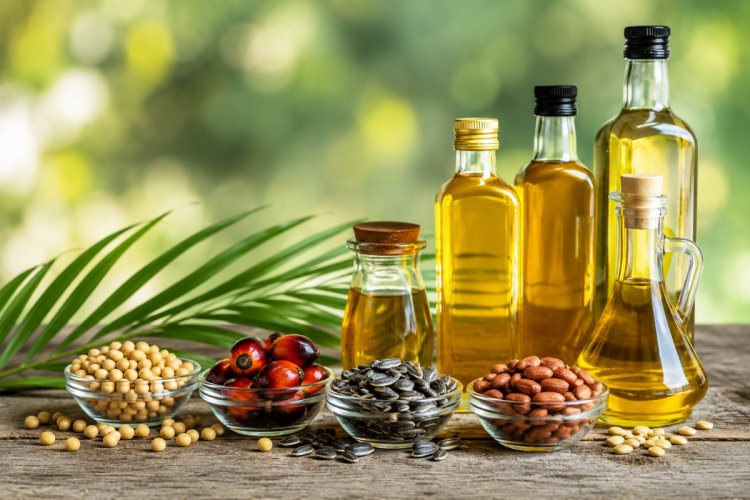 India's Edible Oil Imports Rise 7 pc in Eight Months Despite Sharp June Decline; Palm Oil Share Rises to 48 Percent