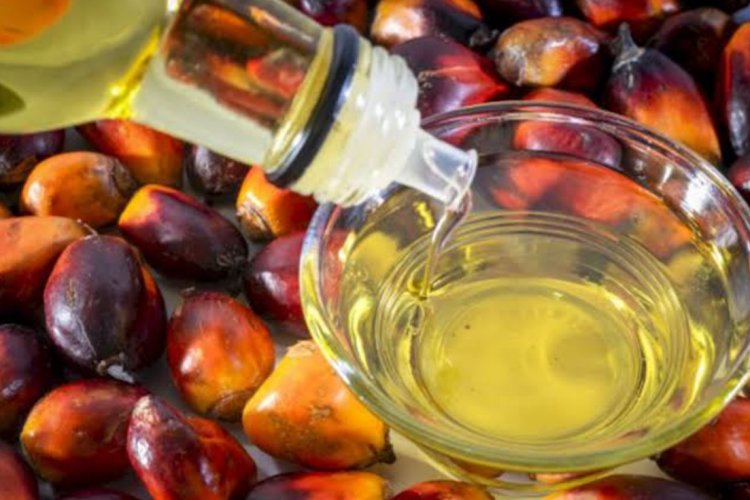 Godrej Agrovet Opens India's First Integrated Oil Palm Complex in Telangana with Rs 300 Crore Investment