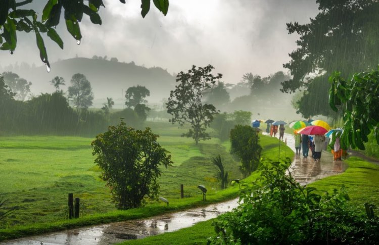 El Niño Strengthens as India's Monsoon Deficit Reduces to 17%; IMD Forecasts Mixed Rainfall Pattern Over Next Two Weeks