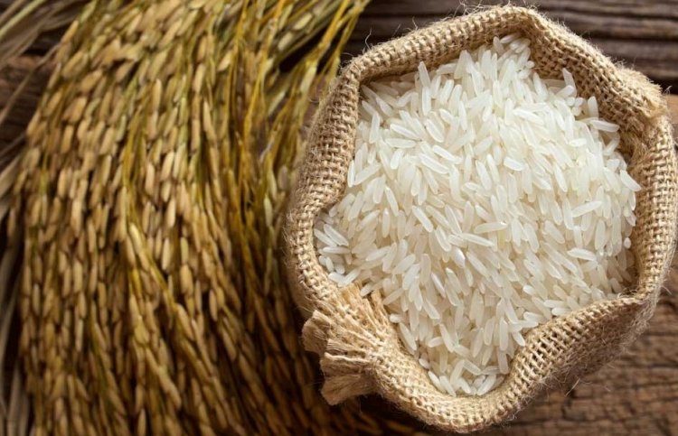 Rice Prices Surge Up to 20%; Export Deals in Jeopardy as Rising Costs Push Exporters into Default