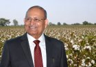 India's Rising Cotton Import Dependence Calls for Technology and Policy Reforms: Dr RS Paroda