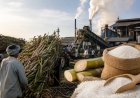 Rising Sugar Prices, Lower Stocks Prompt Industry to Advance Cane Crushing as Govt Tightens Market Oversight