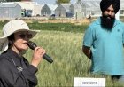 Scientists Identify Wheat Gene Mutation That Could Boost Yields by Up to 10%