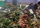 47 Forest Products Identified as Lifeline for Tribal Livelihoods in Nagaland, Meghalaya