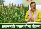 Crop Insurance Policies to Be Approved Only After Verification from Kharif 2026; Rajasthan Govt Issues New Guidelines