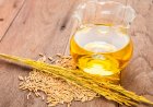 India Has 1.2 MT Untapped Rice Bran Oil Potential, SEA Calls for Policy Push