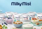 Milky Mist Dairy Food Shares Jump Nearly 30% on Market Debut