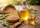 Soybean Oil Imports May Hit Record 6.2 Lakh Tonnes in August as Festive Demand Builds