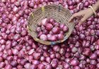Government Starts Buffer Onion Stock Release, First Kanda Express Heads to Delhi