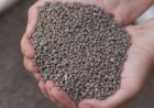 Iran War Spurs US Fertilizer Push, Two Major Domestic Projects Announced