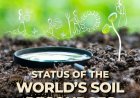 FAO Report Warns Global Soil Management Remains Unsustainable, Erosion and Other Threats Worsening