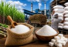 India to Replace Monthly Sugar Quotas with Fortnightly Allocation System; Mills Required to Sell 40% in First Week