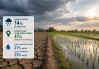 Monsoon Deficit Reaches 14 pc by August End; Nearly Half of India’s Districts See Below-Normal Rainfall