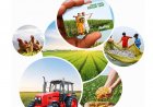 Indian Agricultural Credit: Some Successes and Misses
