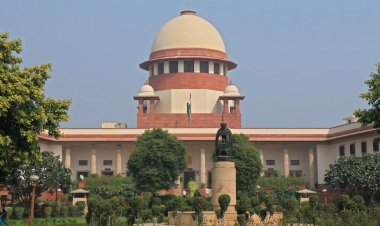 Supreme Court Verdict on PepsiCo-Potato Farmers Disappointing, Says Farmers’ Rights Activist Kavitha Kuruganti