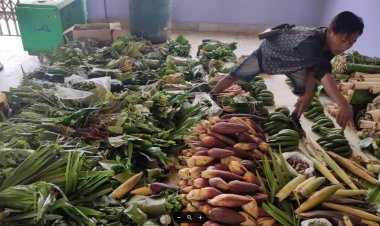 47 Forest Products Identified as Lifeline for Tribal Livelihoods in Nagaland, Meghalaya