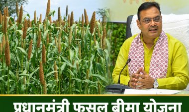 Crop Insurance Policies to Be Approved Only After Verification from Kharif 2026; Rajasthan Govt Issues New Guidelines