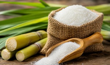 Sugar Ex-Factory Prices Hit Rs. 5,400 per Quintal as Rally Continues; Wholesale Rates Reach Rs. 5,800