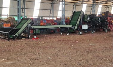 Automated Onion Grading System Cuts Manual Labour by Nearly 80% at Pimpalgaon Market