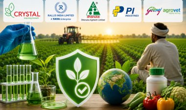 Crop Protection Companies Seek Five-Year Data Protection Framework for New Pesticide Molecules