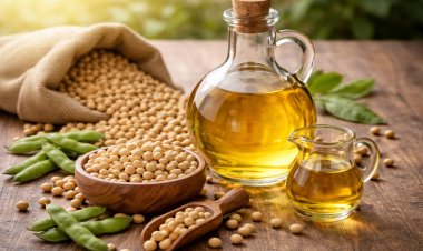 Soybean Oil Imports May Hit Record 6.2 Lakh Tonnes in August as Festive Demand Builds