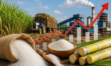 Sugar Crisis: Policy Failures, Faulty Estimates and the Cost of Ignoring Research
