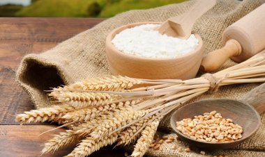 Wheat and Wheat Flour Exports Freed with Immediate Effect; Government Lifts Export Curbs Summary