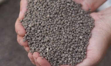 Iran War Spurs US Fertilizer Push, Two Major Domestic Projects Announced