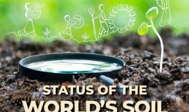 FAO Report Warns Global Soil Management Remains Unsustainable, Erosion and Other Threats Worsening