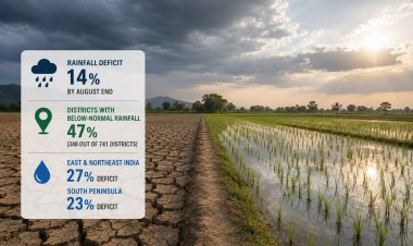 Monsoon Deficit Reaches 14 pc by August End; Nearly Half of India’s Districts See Below-Normal Rainfall