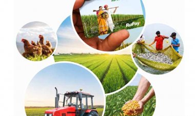 Indian Agricultural Credit: Some Successes and Misses