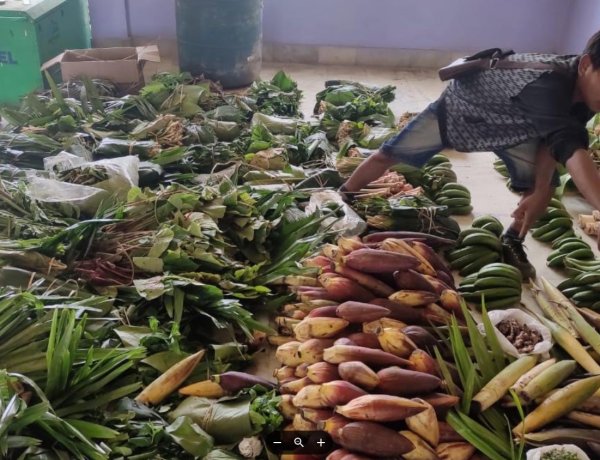 47 Forest Products Identified as Lifeline for Tribal Livelihoods in Nagaland, Meghalaya