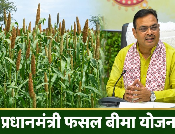 Crop Insurance Policies to Be Approved Only After Verification from Kharif 2026; Rajasthan Govt Issues New Guidelines