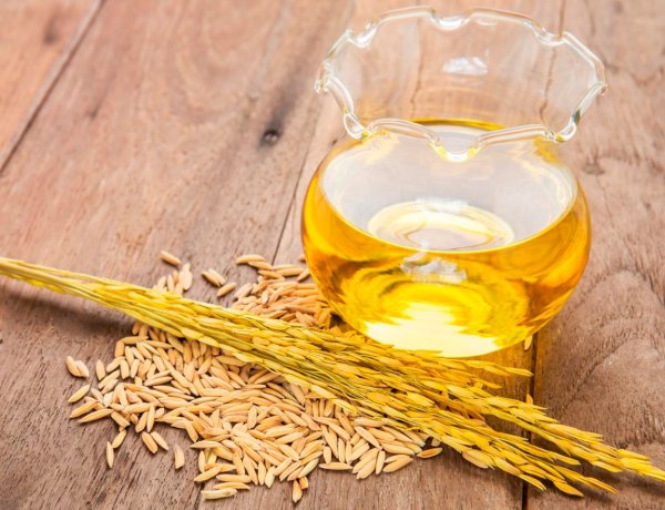India Has 1.2 MT Untapped Rice Bran Oil Potential, SEA Calls for Policy Push