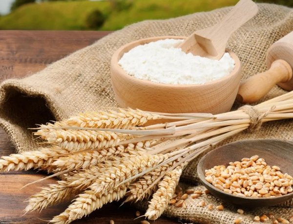 Wheat and Wheat Flour Exports Freed with Immediate Effect; Government Lifts Export Curbs Summary