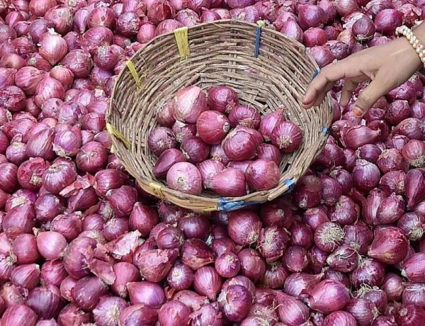 Government Starts Buffer Onion Stock Release, First Kanda Express Heads to Delhi