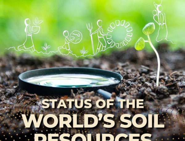 FAO Report Warns Global Soil Management Remains Unsustainable, Erosion and Other Threats Worsening