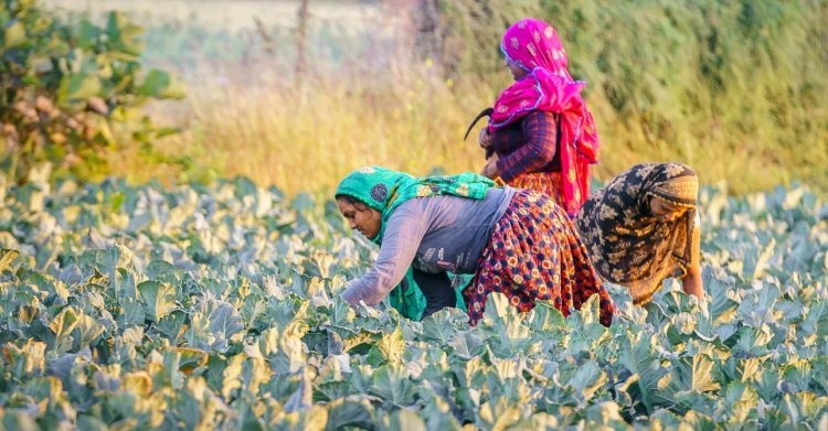 Rural Demand Remains Strong; Sharp Slowdown Unlikely Despite Monsoon and Food Price Risks: UBS