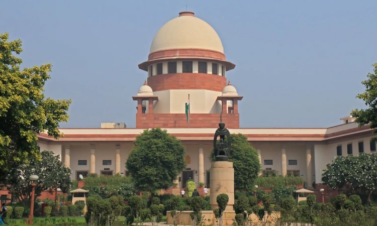 Supreme Court Verdict on PepsiCo-Potato Farmers Disappointing, Says Farmers’ Rights Activist Kavitha Kuruganti