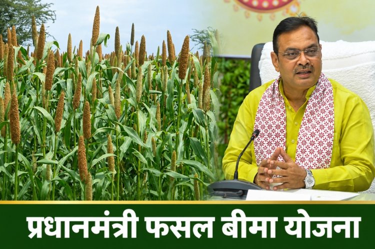 Crop Insurance Policies to Be Approved Only After Verification from Kharif 2026; Rajasthan Govt Issues New Guidelines